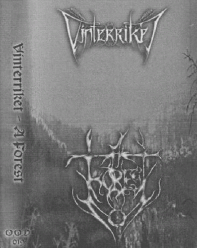 A Forest : A Forest - Vinterriket